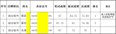 市德晟公共資源公司2015年度公開招聘工作人員總